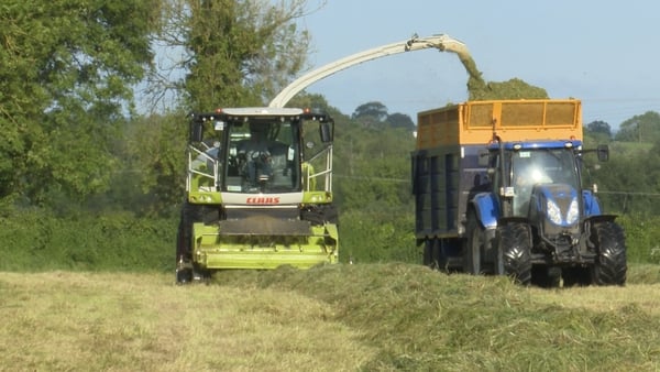 This weekend is expected to be one of the busiest for cutting and moving silage to farmyards