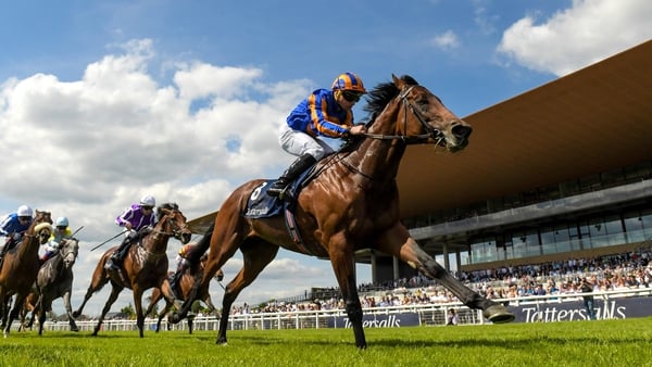 Paddington, who outclassed his rivals in the Irish 2,000 Guineas last time out, is likely to face English Guineas hero Chaldean in the St James's Palace Stakes
