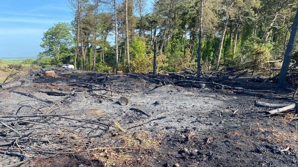 Fires caused damage to areas which had already been cleared by tree-felling at The Raven on the south-east coast of Wexford