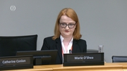 Dr Marie O'Shea told the committee there were issues for medical professionals around detecting fatal foetal anomalies
