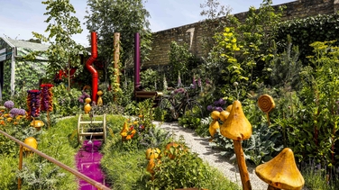 3 fun and moving gardens to check out at Bord Bia's Bloom 2023