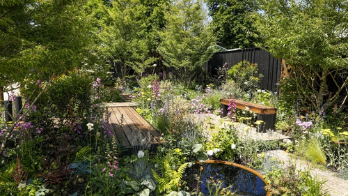 "Marie Keating Foundation's 'Catching Cancer Early' Garden" designed by Robert Moore, sponsored Astra Zeneca and MSD. Photo: Fennell Photography