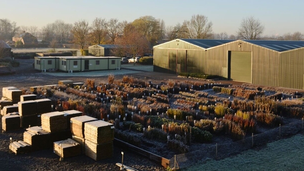 British Hardwood Tree Nursery