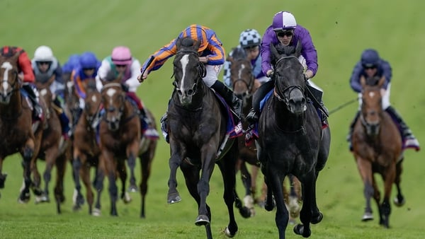 Auguste Rodin and King Of Steel (purple silks) lock horns for a third time in their careers