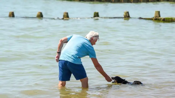 A dip may help them cool off (Alamy/PA)