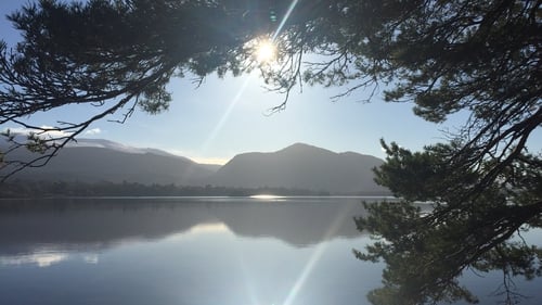 The warnings have been put in place for Lough Leane and Muckross Lake