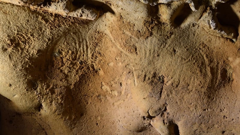 The engravings discovered in the Roche-Cotard cave in Loire, France