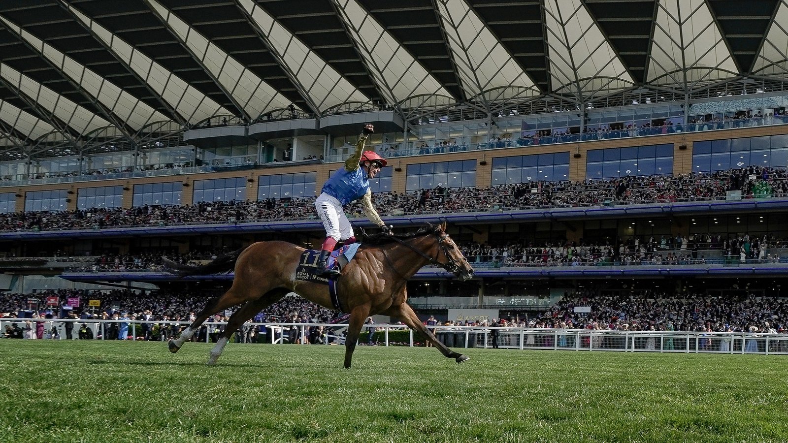 Wathnan Racing splash the cash ahead of Royal Ascot