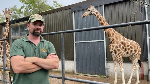 'Best job in the world' - Fota Wildlife Park turns 40