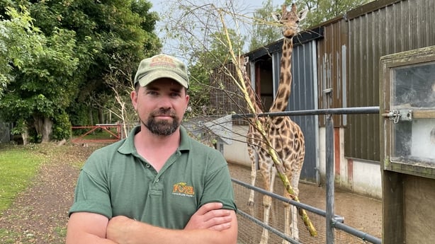 'Best job in the world' - Fota Wildlife Park turns 40