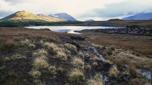 A file image of peat bog surrounding Lough Fee, Co Galway