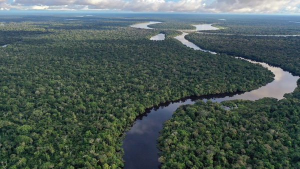 Campaigners want all eight countries to adopt Brazil's pledge to stop illegal deforestation in the Amazon by 2030