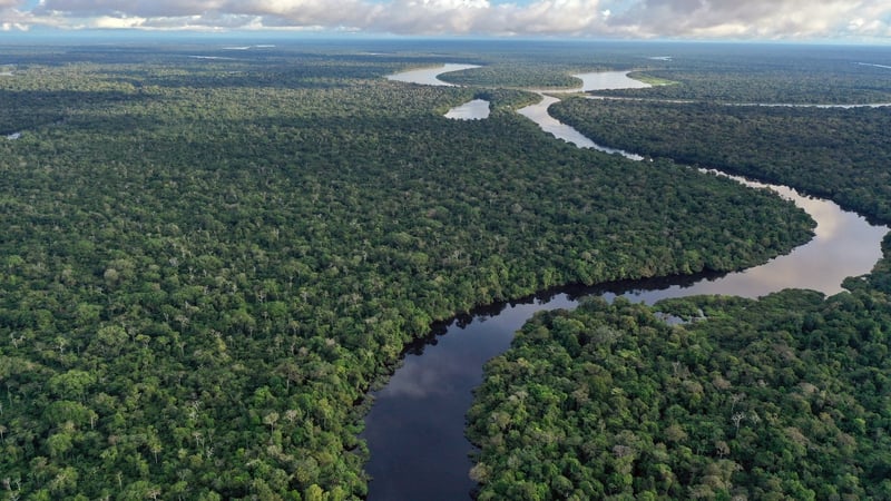 Amazon Nations Unite to Combat Deforestation
