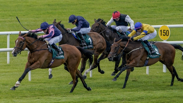 Via Sistina hits the front on the run to the line in the Pretty Polly at HQ