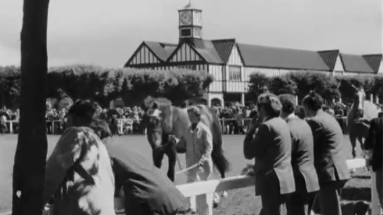 RT Archives Sports Dublin Horse Show rt-archives-sports-dublin-horse-show