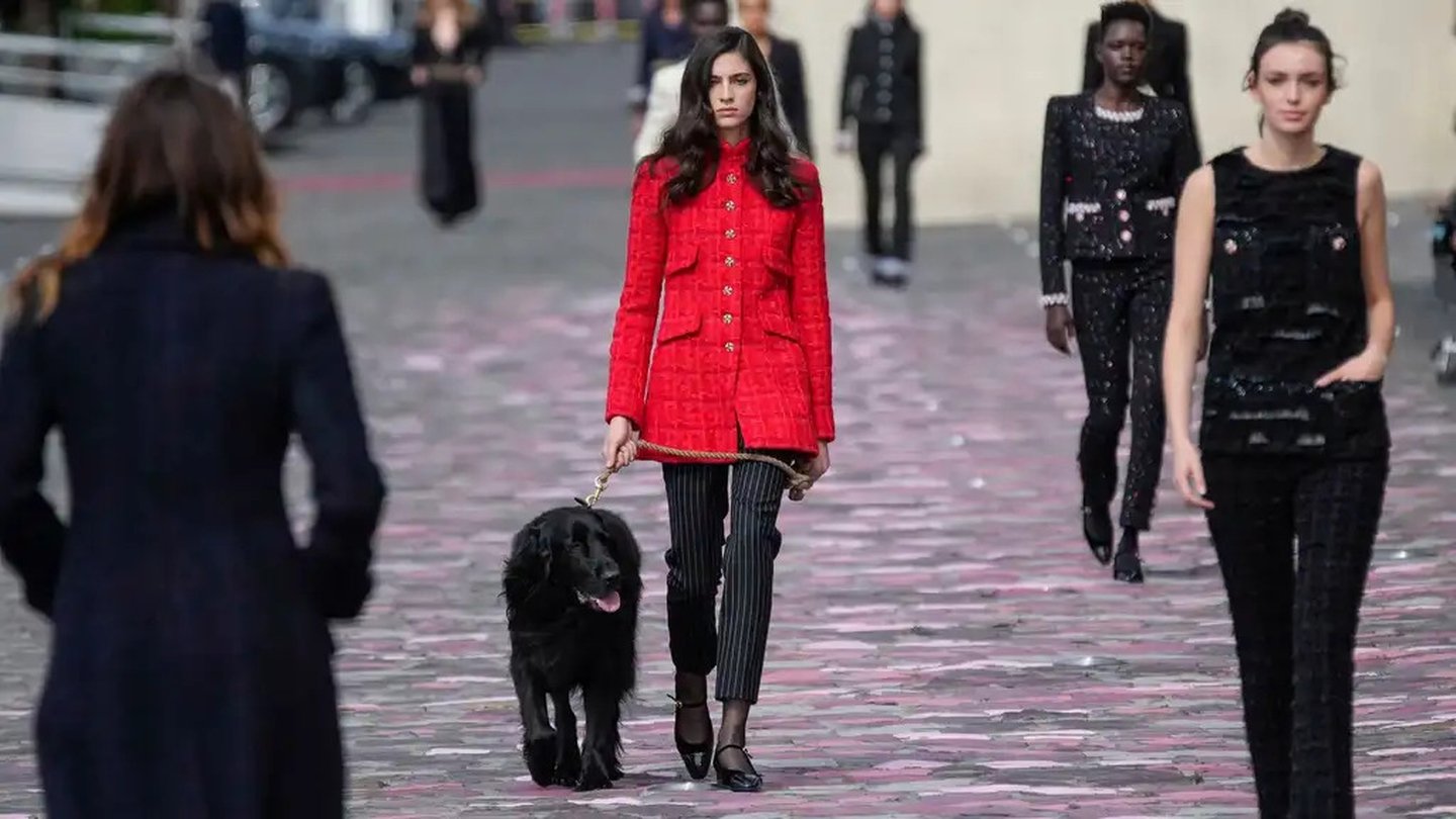 Chanel Conjures Fantastic Animals In Playful Couture Show – WWD