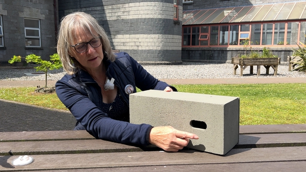 Lynda Huxley demonstrates the simple but effective design of a swift brick