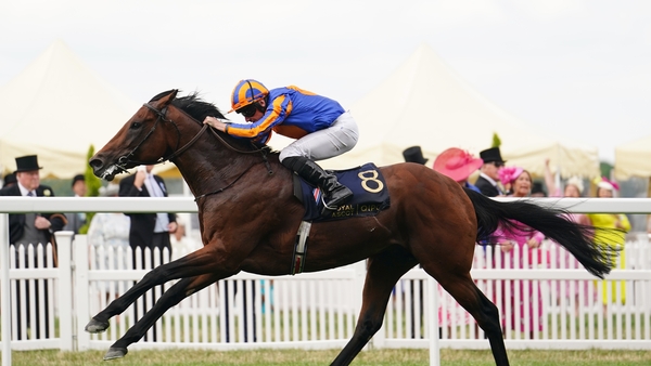 Paddington will make his seventh start of the season in the Juddmonte International