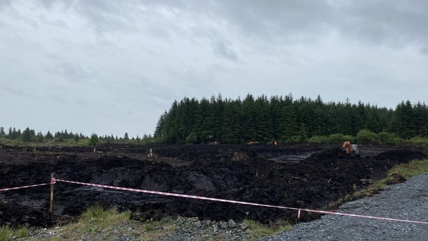 Columba McVeigh Search