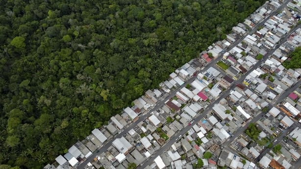 deforestation falls over 60% compared with last July, says