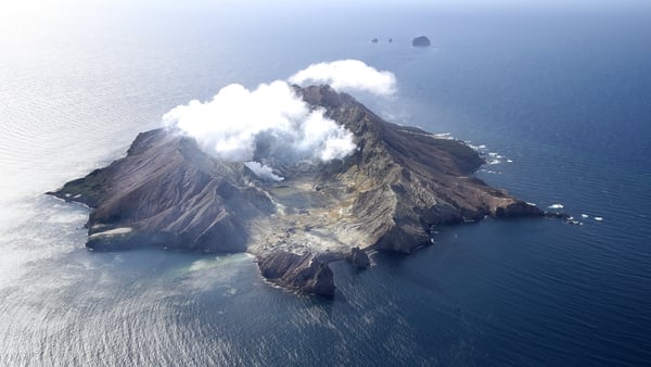 The eruption off the coast of the country's North Island in 2019 claimed 22 lives and left dozens more with horrific injuries