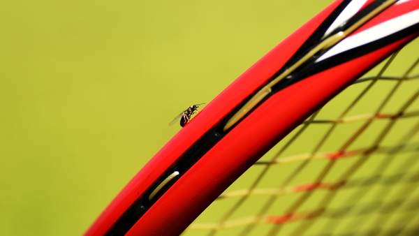 30-love. A close-up of a flying ant on a tennis racket at Wimbledon. Photo: David Ramos/Getty Images