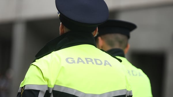 All frontline gardaí are due to wear body cams (file image)