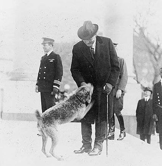 President Harding pictured earlier this year before he became ill Photo: Library of Congress Prints and Photographs Division Washington, D.C. 20540