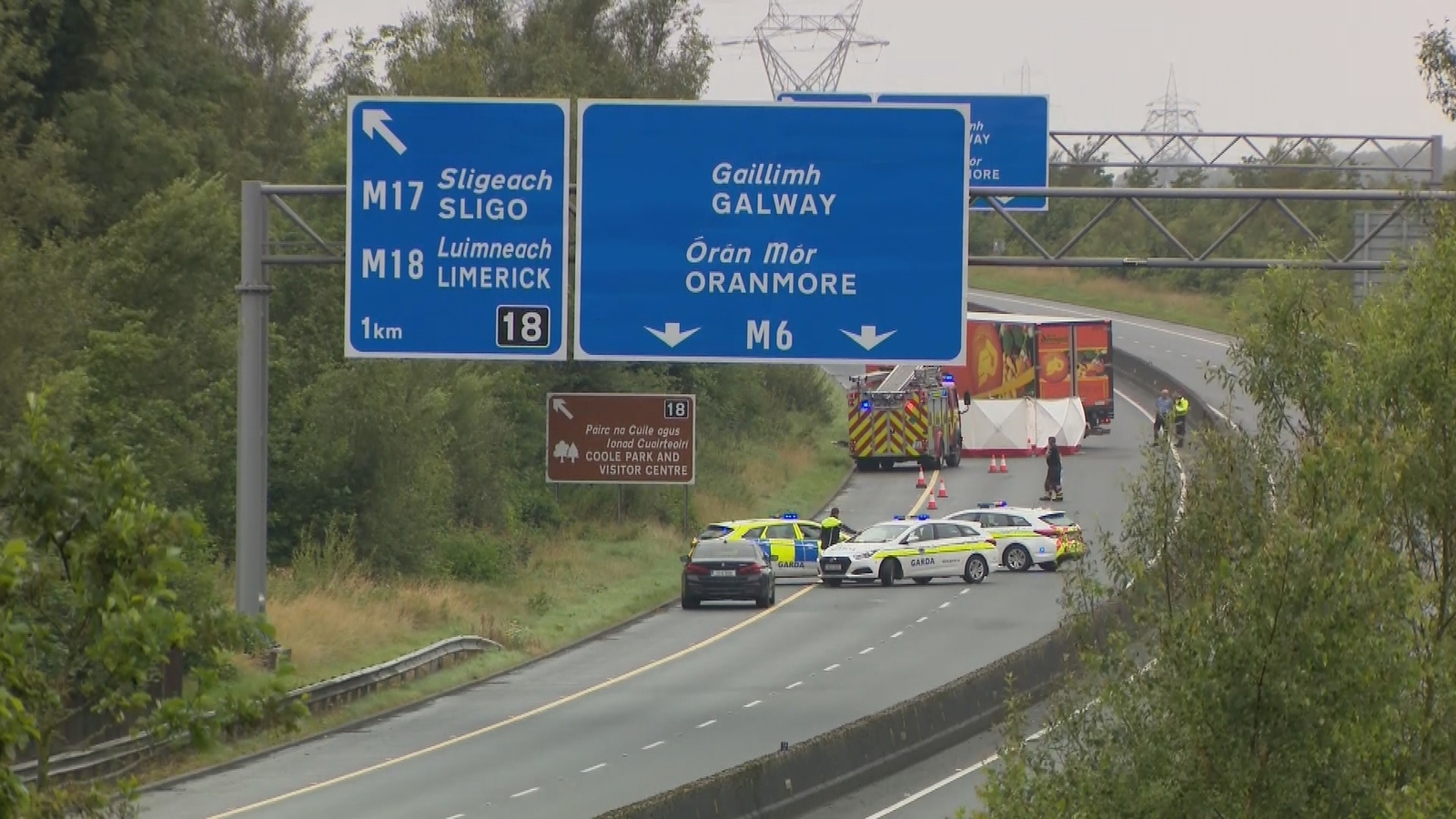 Man dies after getting out of his car on M6 in Galway