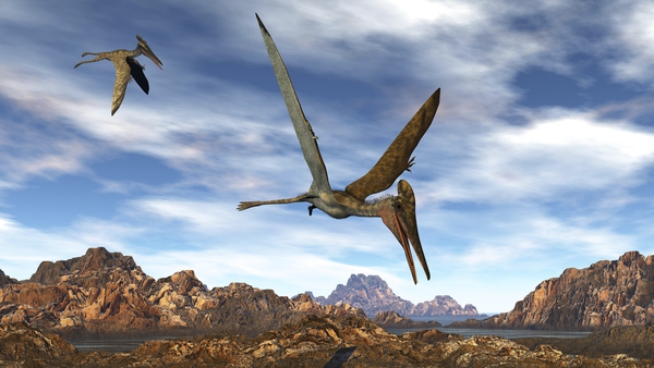 Pterosaurs were the first vertebrates to conquer the sky, beating birds and bats by about 100 and 150 million years, respectively. Image: Getty Images