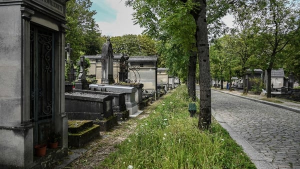 Cemetery authorities have started a major drive to 're-naturalise' the site