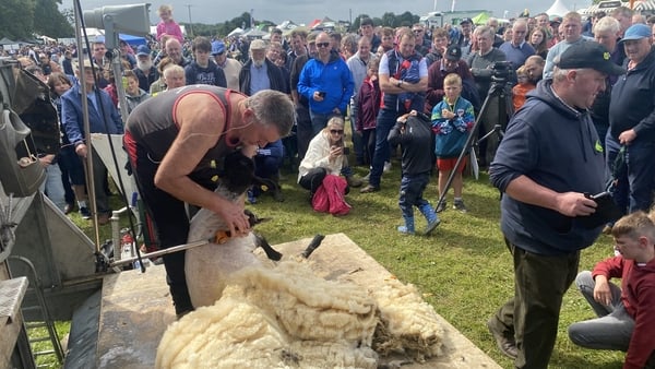 Tullamore Show is the biggest one-day livestock event in the country