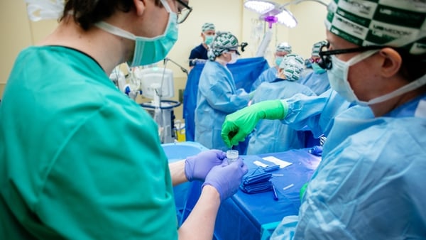A photo issued by the University of Alabama at Birmingham shows a xenotransplant surgery being performed