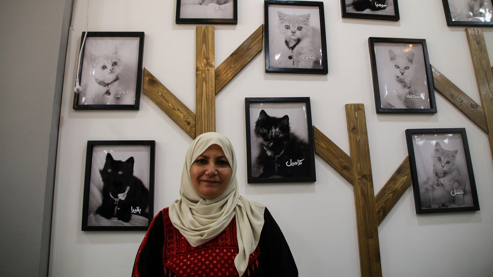 Palestinian woman opens Gaza's first cat café