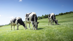 Organic Farm Walk