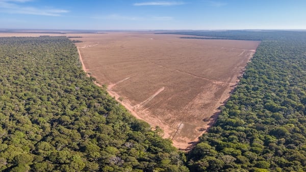 An aerial view of Amazon deforestation in Mato Grosso, Brazil