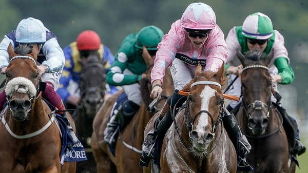 Live In The Dream has won three of his six starts this season