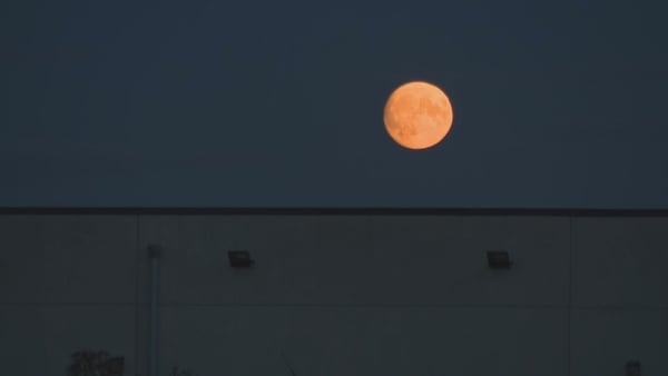 The super blue moon rising over Abbottstown on August 29, 2023 Photo: RTÉ