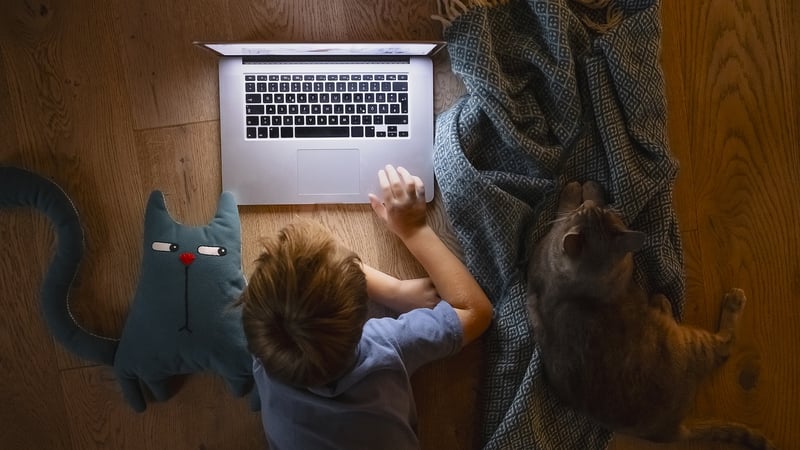 Warnings about Safeguarding Children online