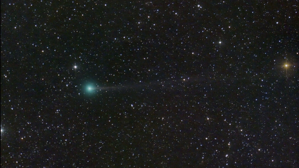 Comet Nishimura is travelling through space at 385,000km/h (Courtesy: Dan Bartlett)