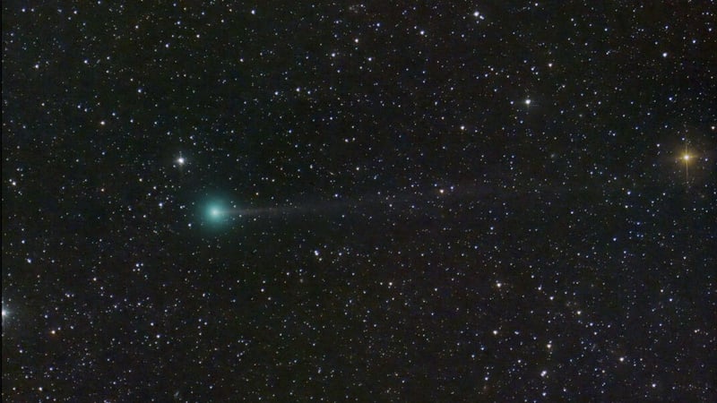 Comet Nishimura is travelling through space at 385,000km/h (Courtesy: Dan Bartlett)