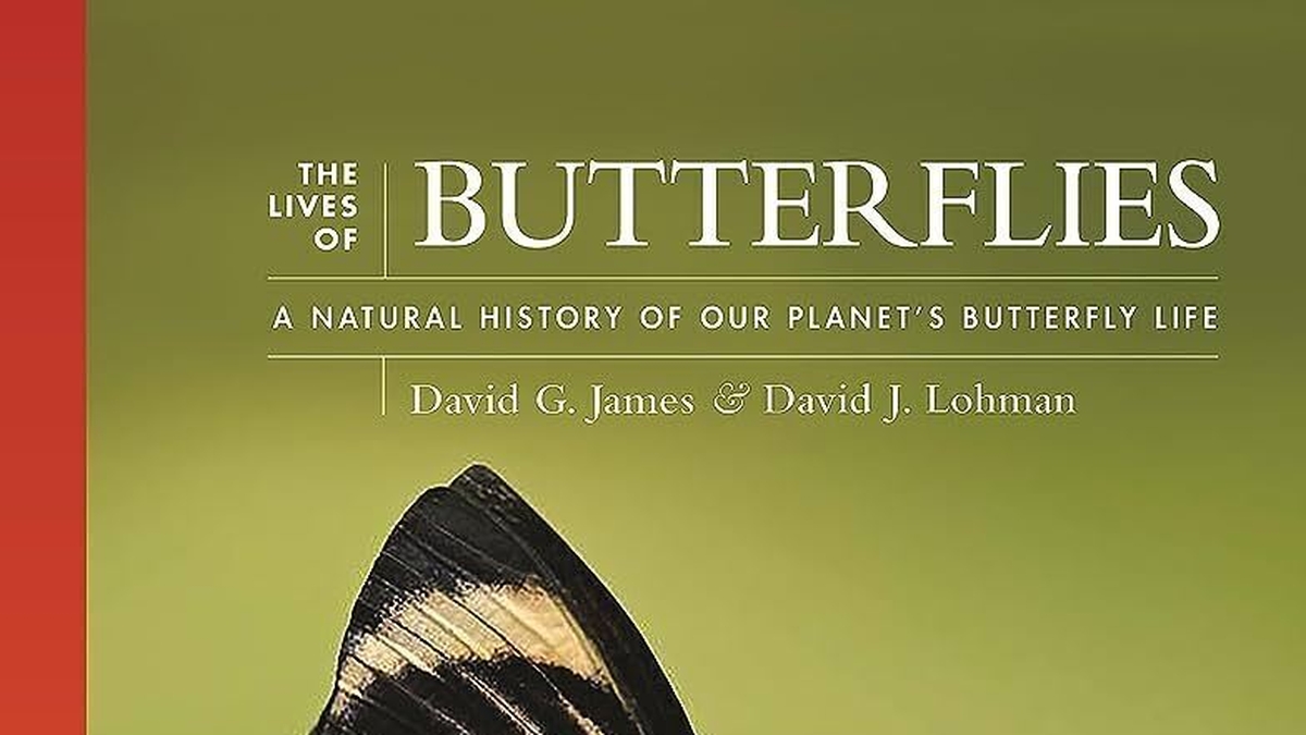 The Lives of Butterflies