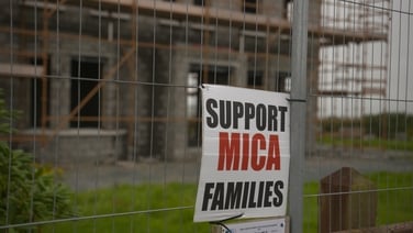 Prime Time: Mould adds to homeowners' mica and pyrite nightmares