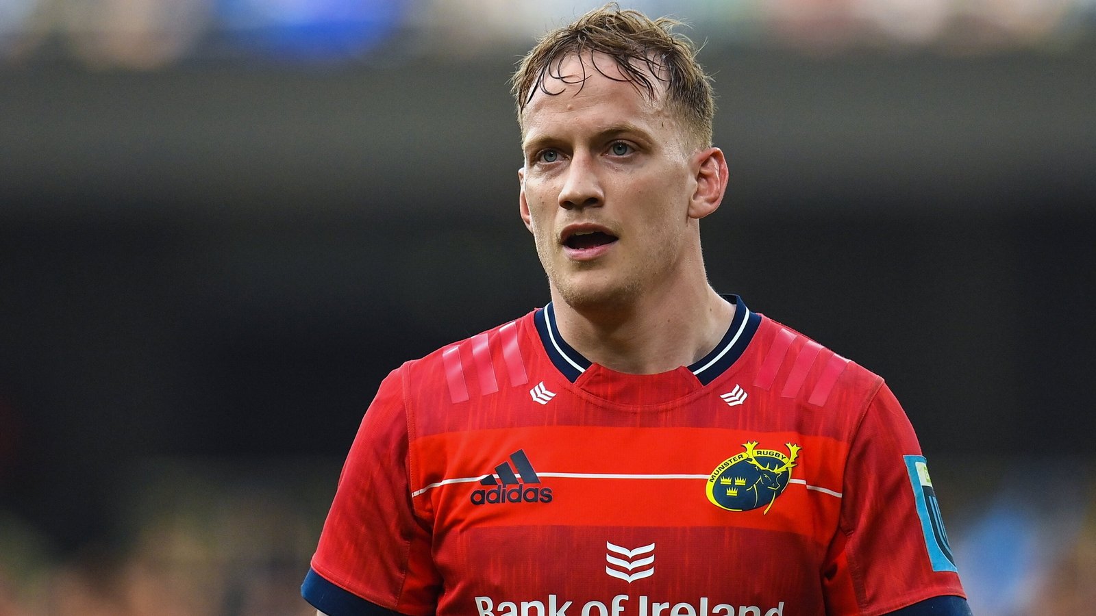 Haley and Salanoa give Munster double injury blow