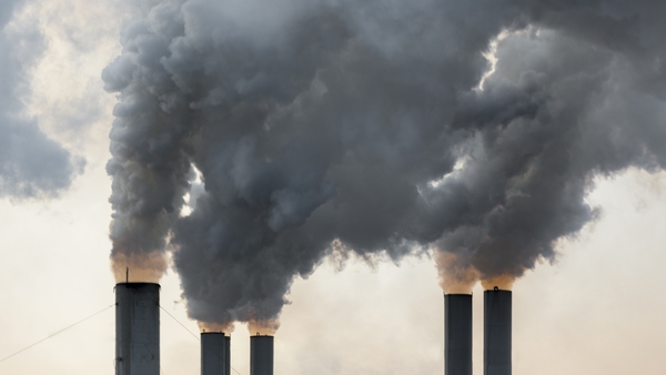 Only half of signatories have integrated the Irish Government's Climate Action Plan into their sustainability strategy