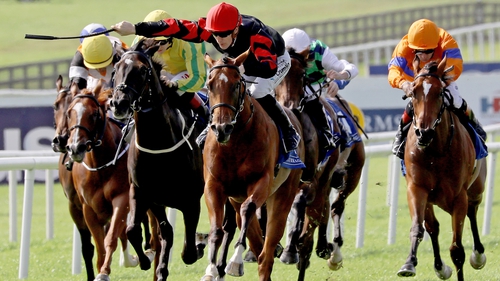 Vespertilio reopposes Ylang Ylang in Sunday's Moyglare Stakes at the Curragh