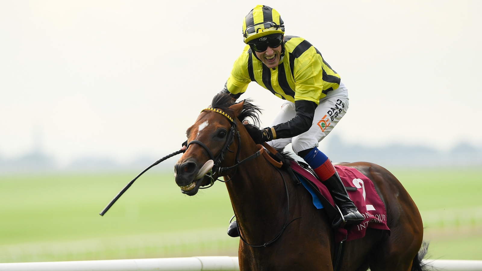 Eldar Eldarov eases to win in Irish St Leger