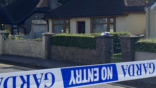 The device was found in the garden of a house in Cork city