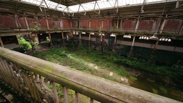 The Iveagh Market, closed for 27 years, is overgrown with greenery.