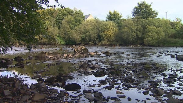 The Loughs Agency has reported the deaths of hundreds of fish as a result of a release into the River Finn